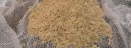 суп xамин. Шаг 6