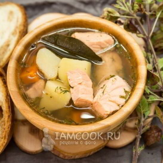 Рецепт ухи из семги