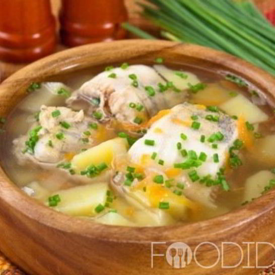 Рецепт ухи из судака