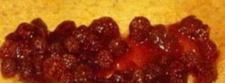 блины маковые с земляничной начинкой. Шаг 4