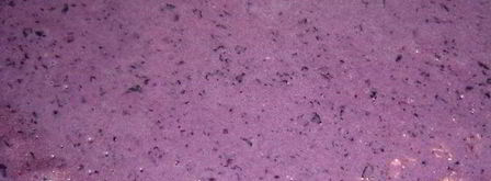 черничные блинчики с творожно-черничной начинкой. Шаг 3