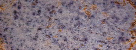 черничные блинчики с творожно-черничной начинкой. Шаг 4