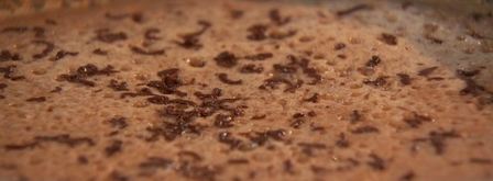 шоколадные блинчики с шоколадным соусом. Шаг 6