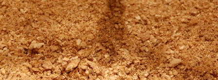 сливочно-грибные блинчики под сливочно-грибным соусом. Шаг 2