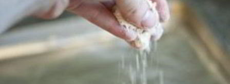 английская домашняя булочка. Шаг 2