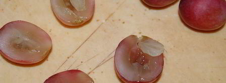 безумие 6 чизкейк ревень с виноградом. Шаг 4