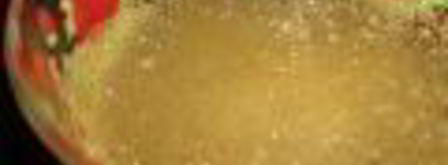 чизкейк без выпечки с сыром маскарпоне, клубникой и фруктами. Шаг 2