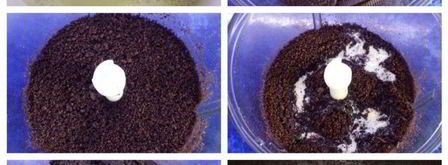 чизкейк с черносливом. Шаг 2