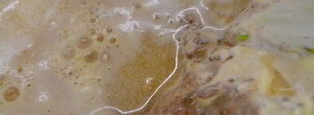 шоколадно-апельсиновый чизкейк. Шаг 6