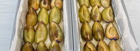 кекс со сливами и хрустящим штрейзелем. Шаг 10