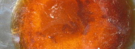 кекс восточная сказка. Шаг 3