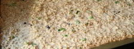 диетические хлебцы. Шаг 5