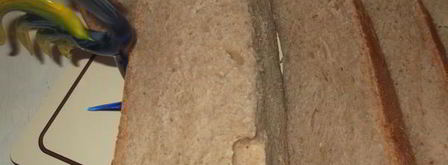 хлеб с корицей и ореховым маслом. Шаг 5