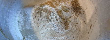 ржаной хлеб с тмином и кориандром. Шаг 3