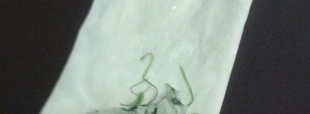 конвертики из теста фило со шпинатом и картофелем. Шаг 10