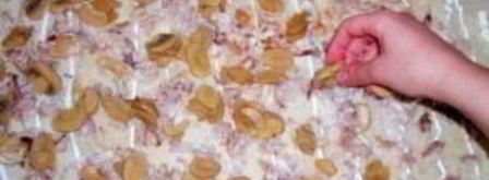 лаваш с грибами и курицей. Шаг 3