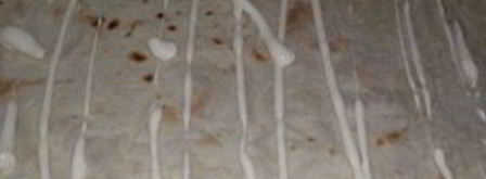 лаваш с грибами и сыром. Шаг 2