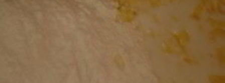 лепешки с ветчиной и сыром. Шаг 2