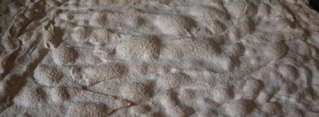 меренговый рулет. Шаг 3