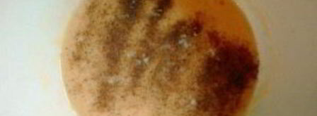 грибные оладьи. Шаг 7