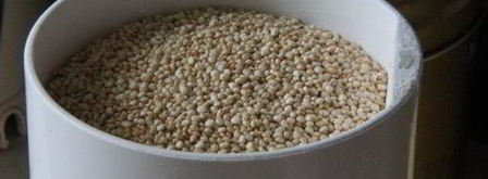 оладушки из квиноа и кукурузной муки без глютена. Шаг 6