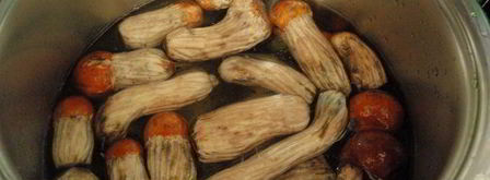 открытые слойки с подосиновиками. Шаг 11