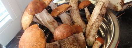 открытые слойки с подосиновиками. Шаг 12