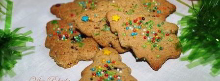 новогоднее овсяное печенье. Шаг 9