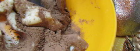 новогоднее печенье овечки. Шаг 5