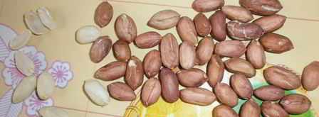 печенье белые овечки. Шаг 9