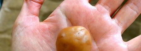 печенье кофейные зерна. Шаг 5