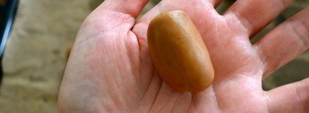 печенье кофейные зерна. Шаг 6