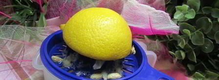 семифредо из рикотты с малиной и миндальным печеньем. Шаг 2