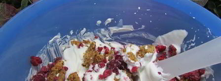 семифредо из рикотты с малиной и миндальным печеньем. Шаг 6