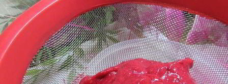 семифредо из рикотты с малиной и миндальным печеньем. Шаг 8