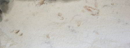 насыпной яблочный пирог. Шаг 5