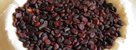 открытый пирог с ревенем. Шаг 6