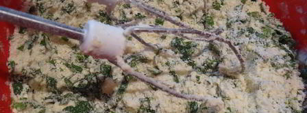 пирог с говядиной и карри. Шаг 2