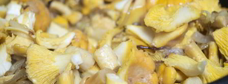 пирог с лисичками. Шаг 8