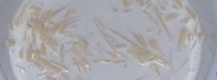 рождественский пирог с курицей. Шаг 8