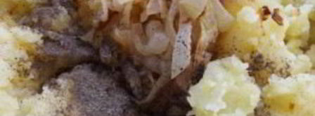 пирожки воздушные жареные. Шаг 4