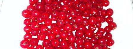 пирожное летняя сказка со смородиной. Шаг 4