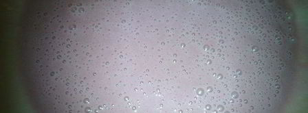 пирожное мое любимое. Шаг 3