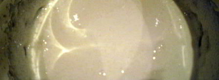 пирожное весенняя свежесть. Шаг 6