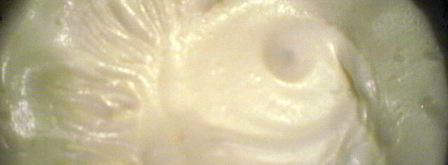 пирожное весенняя свежесть. Шаг 9