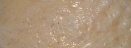 деревенская пицца с творогом. Шаг 2