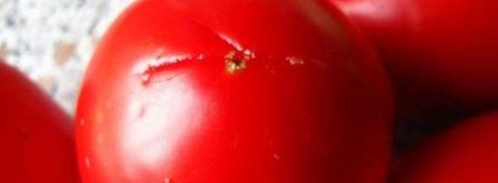 молниеносная пицца. Шаг 18