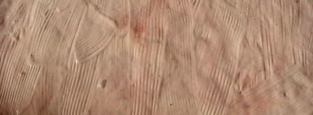 пицца ассорти. Шаг 10