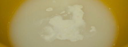 сырная пицца. Шаг 2