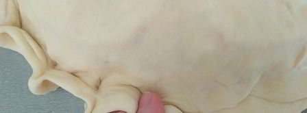 закрытая пицца с курицей и чесноком. Шаг 11